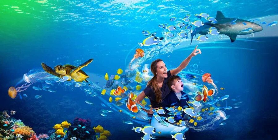 SEA LIFE Paris: Admission Ticket - Daily Animations, Talks, and Feeding Sessions Add Energy