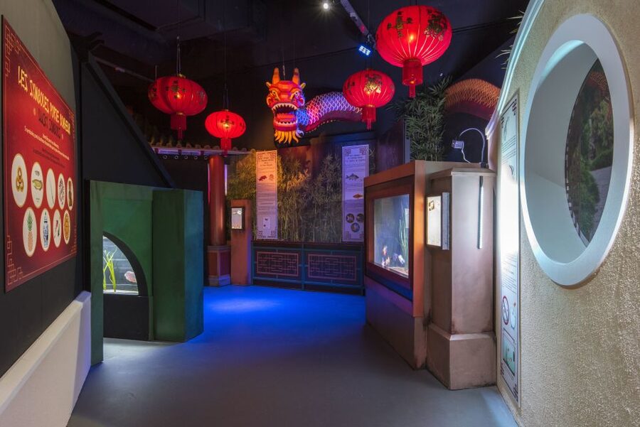 SEA LIFE Paris: Admission Ticket - I-Sand Creation and Virtual Aquarium, Watching Your Input Take Form