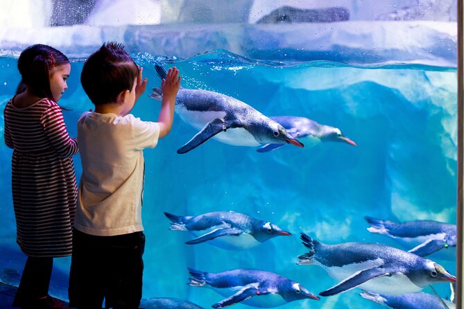 SEA LIFE Paris Val d'Europe Aquarium Entry Ticket - Key highlights to look for