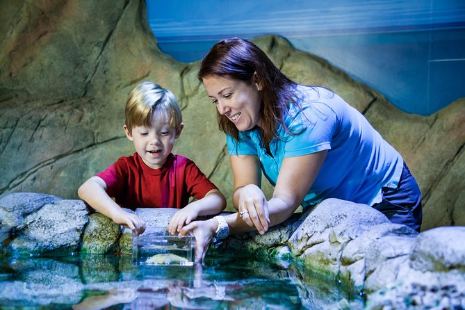 SEA LIFE Paris Val d'Europe Aquarium Entry Ticket - The 2 hour route: four themed zones and a logical animal flow