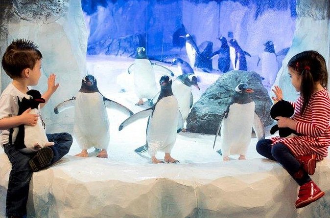 SEA LIFE Paris Val d'Europe Aquarium Entry Ticket - Feeding times you can plan around (and why it helps)
