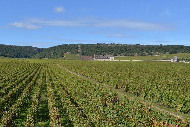 Small-Group Full-Day Tour of Côte de Nuits, Côte de Beaune Vineyards and Beaune Historical District - Why this Dijon-to-Burgundy day works so well