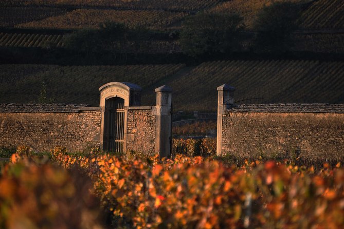 Small-Group Full-Day Tour of Côte de Nuits, Côte de Beaune Vineyards and Beaune Historical District - The Côte de Nuits and Côte de Beaune drives: what to notice from the van