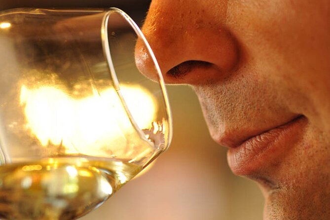 Small-Group Full-Day Tour of Côte de Nuits, Côte de Beaune Vineyards and Beaune Historical District - Beaune free time: lunch on your own, plus real walking time