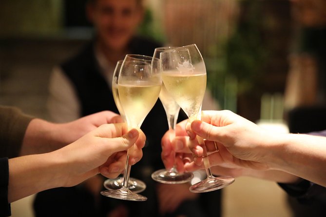 Small Group - Half Day Champagne Tour - Visit of 2 Small Producers/Growers - The Small-Group Advantage (Up to 8 People)