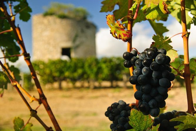 St-Emilion & Médoc Wine Day Tour: Chateaus, Tastings and Lunch - Key things to know before you go