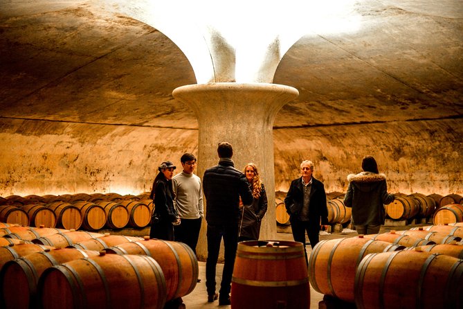 St-Emilion & Médoc Wine Day Tour: Chateaus, Tastings and Lunch - Getting to the vineyards from Bordeaux is the easy part