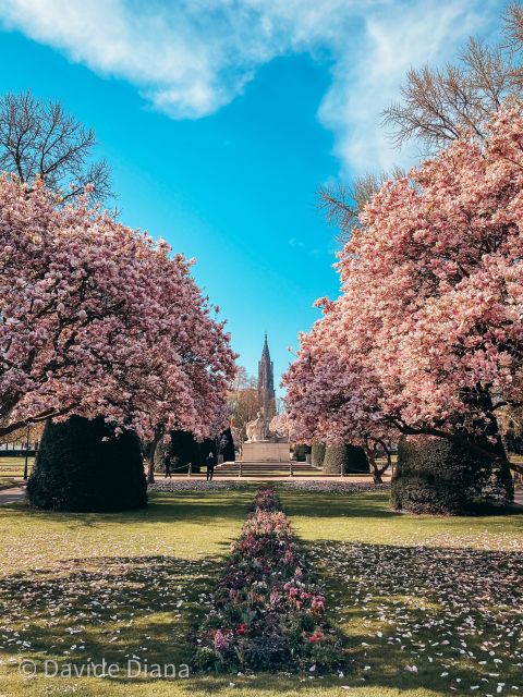 Strasbourg: Guided Historical Neighborhoods Walking Tour - Place Kléber, the square that turns into a seasonal experience