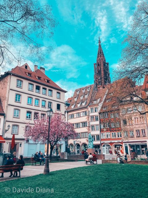Strasbourg: Guided Historical Neighborhoods Walking Tour - Practical details that help you enjoy the walk