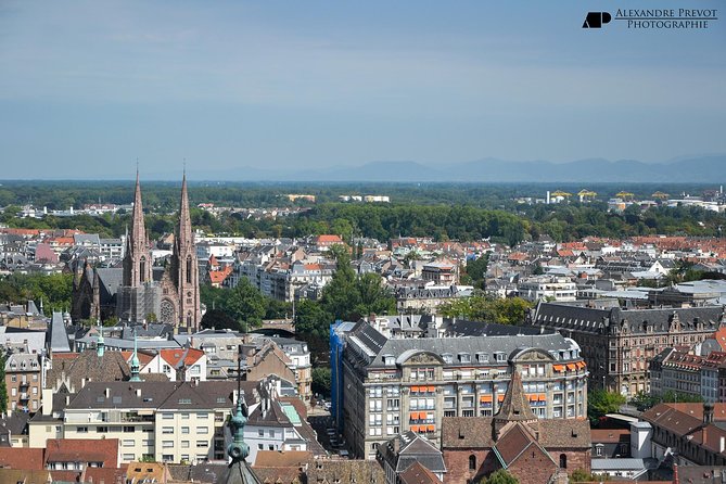 Strasbourg Private Walking Tour with a Local - Place Kléber Starts You Off in the Right Neighborhood