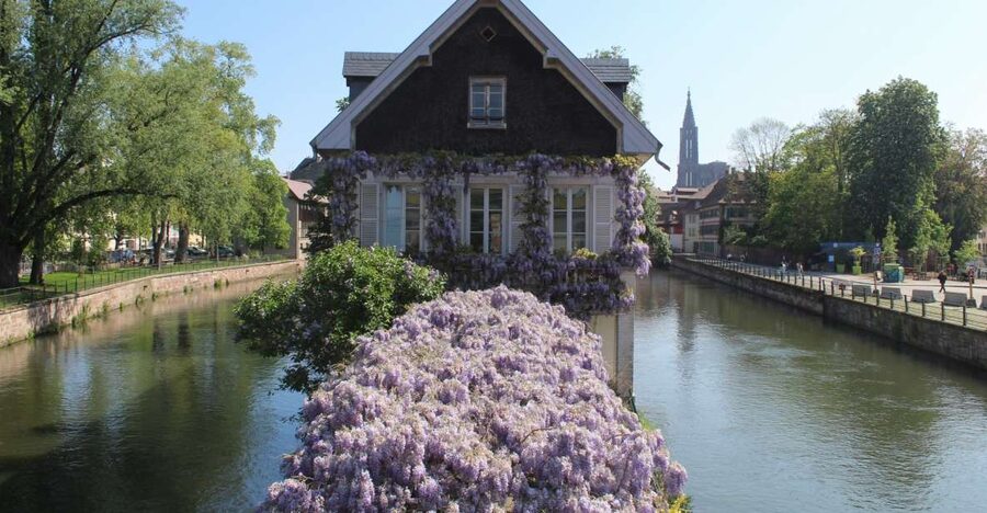 Strasbourg: Walking Tour with Local Guide - Two Hours in Strasbourg, and You Actually Get the City