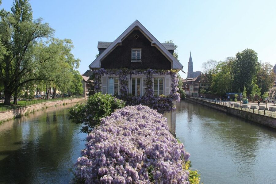 Strasbourg: Walking Tour with Local Guide - Ponts Couverts: The Covered Bridges Stop That Changes Your Perspective