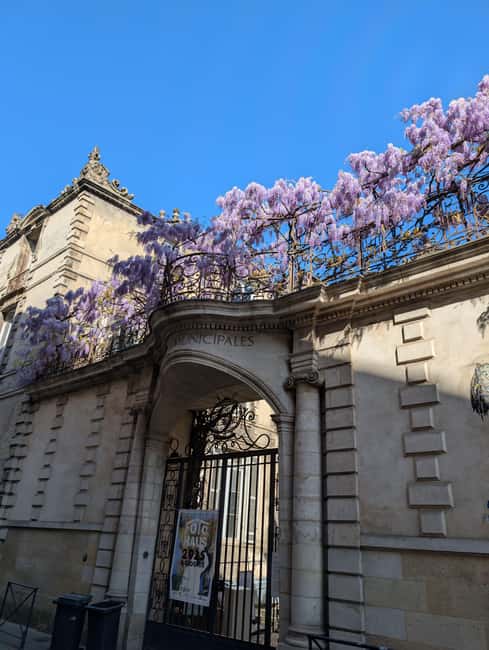 The Best of Bordeaux Walking Tour + 1 Glass of Wine - Key Highlights You’ll Actually Notice