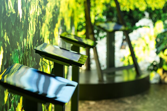 The discovery trail at Maison Brotte - Why this Châteauneuf-du-Pape wine museum stop is worth your time