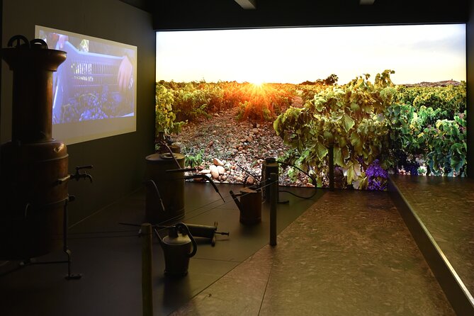 The discovery trail at Maison Brotte - Price and logistics for a $12.09 wine museum plus tasting