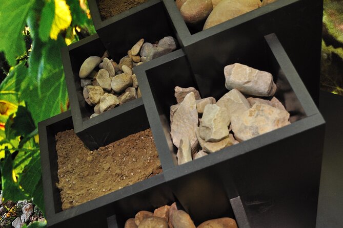 The discovery trail at Maison Brotte - FAQ