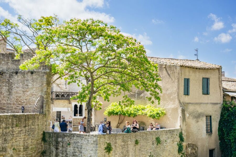 Toulouse: Carcassonne Day Trip by Coach with Audioguide - Ramparts and the View Factor: Great for Photos, Tricky for Mobility