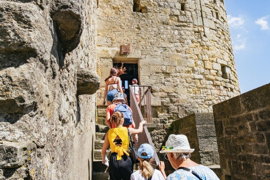 Toulouse: Carcassonne Day Trip by Coach with Audioguide - Best Fit: Who Should Book This Carcassonne Day Trip