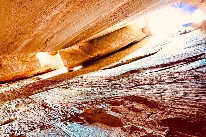 Tour with the Mountain Train, Trek to Mystic Forest and Castle - Annot and the mystic forest trek: caves, hills, and a nature-forward afternoon