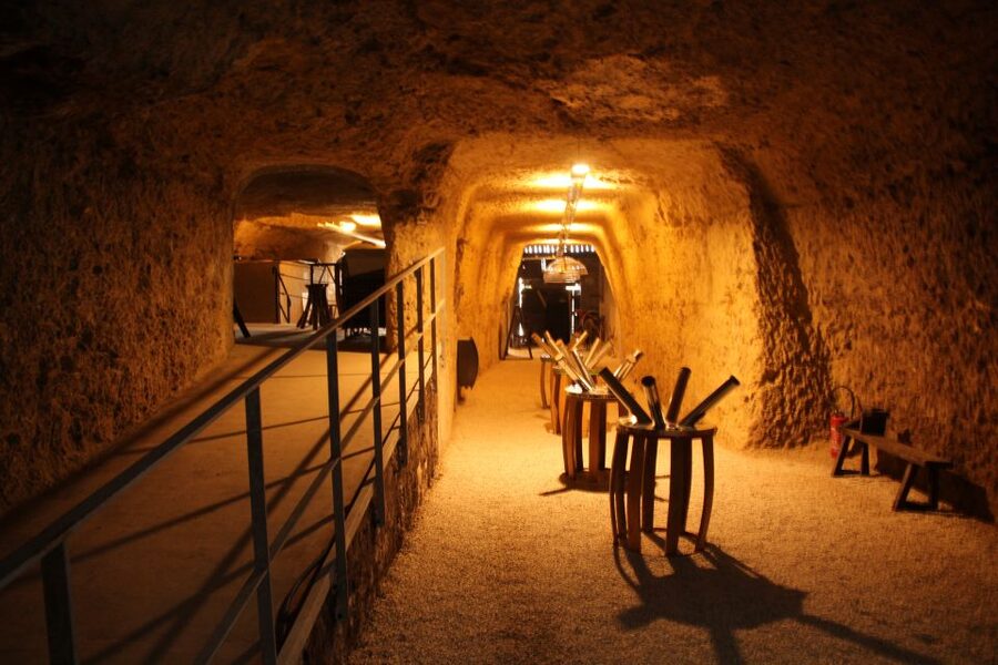 Tours/Amboise: Chambord, Chenonceau Day Trip & Wine Tasting - Amboise Wine Tour at Les Caves Ambacia: What the Tasting Teaches You