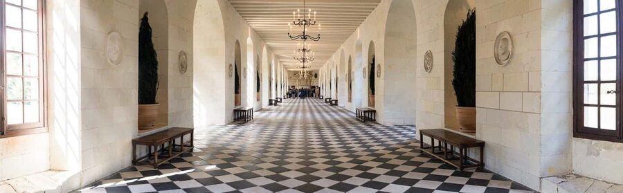 Tours/Amboise: Chambord, Chenonceau Day Trip & Wine Tasting - Château de Chenonceau: Renaissance Gardens and River Views