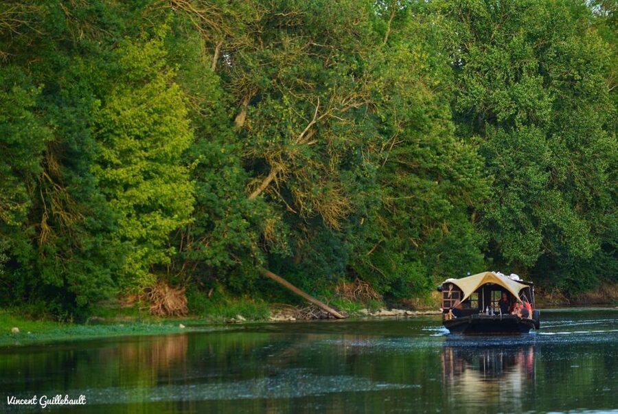 Traditional boat trip - One hour to spot birds, notice habitats, and relax your brain