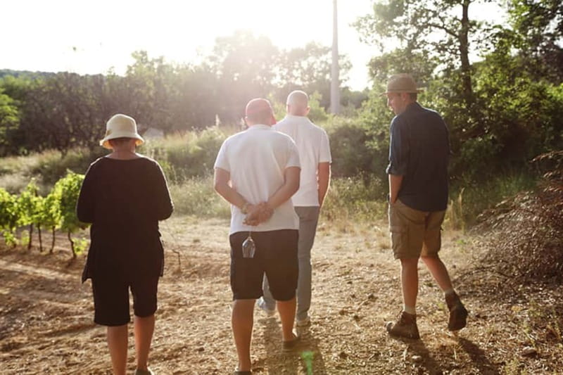 Truffle Hunting in Provence - The 3-hour hunt, from field briefing to finding black truffles