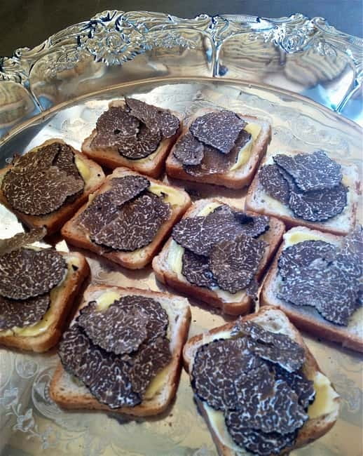 Truffle Hunting in Provence - The tasting is the lesson: snacks, olive oil, and Champagne