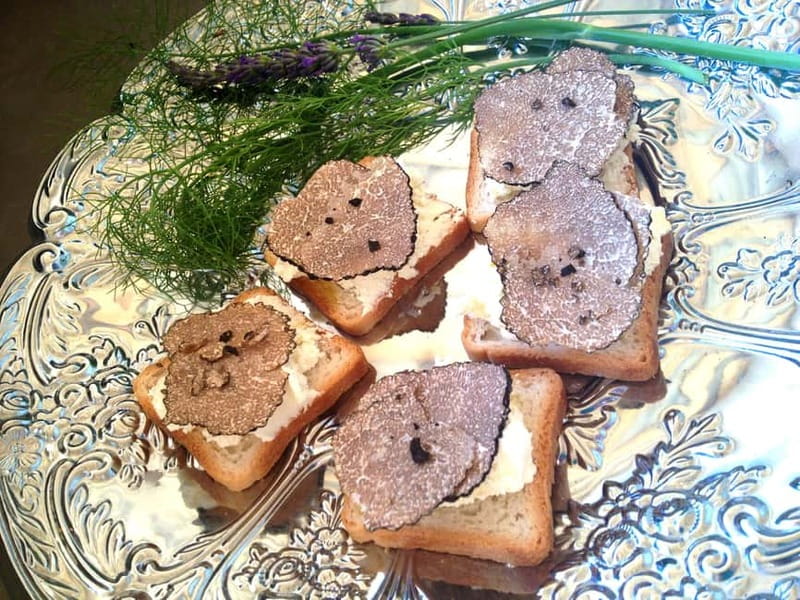 Truffle Hunting in Provence - Price, group size, and what $132 buys you