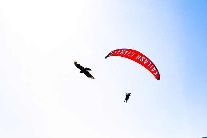 Two-seater paragliding flight in Chamonix - Instructors, Safety, and Why the Ride Feels Confident