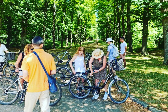Versailles Golfcart & Bike Guided Tour: Gardens Hamlet Fountains - Price and value: what you pay for at $192.36