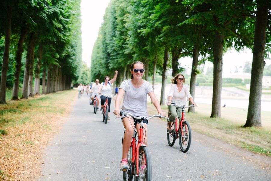 Versailles: Palace and Garden Bike Tour with Tickets - Grand Canal picnic in Versailles gardens, how to make it feel effortless