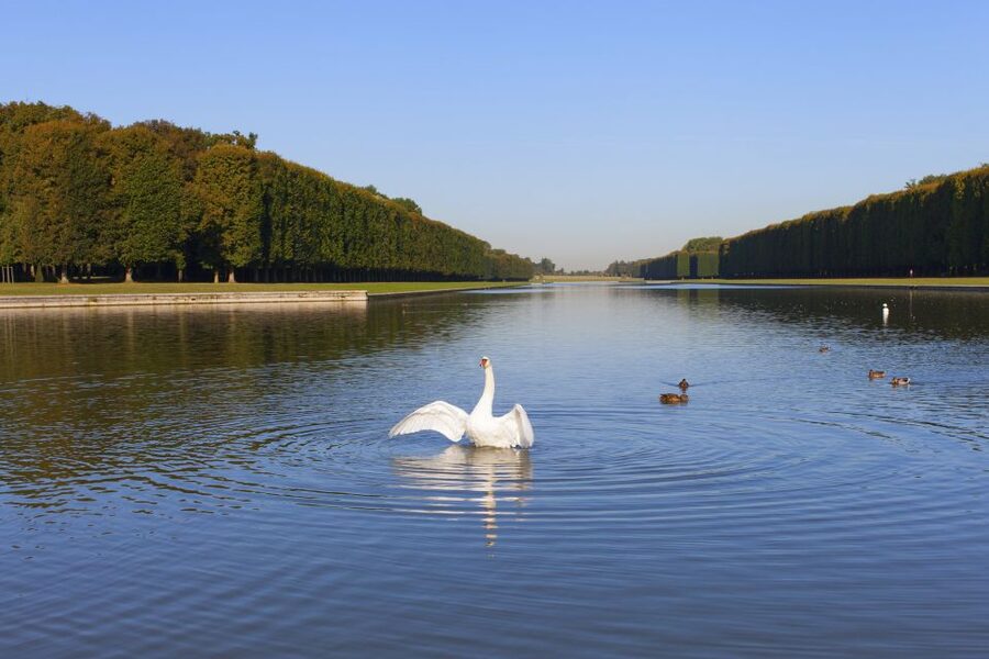 Versailles: Skip-the-Line Guided Tour of Palace with Gardens - Price and value: is $88 worth it?