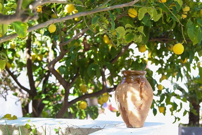 Viator Exclusive: Local Cooking Class & Dinner with View of Nice - Garden-to-Table Details: Herbs, Chard, Sage, and Olives