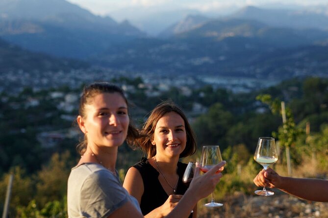 Vineyard Tour with Wine Tasting within Nice city borders - Key highlights you will feel fast