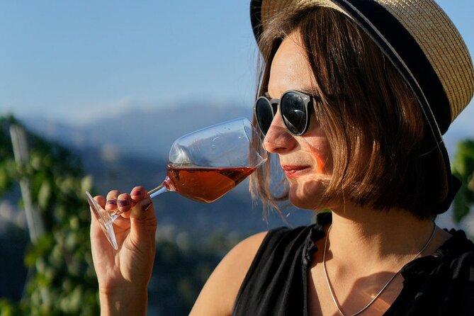 Vineyard Tour with Wine Tasting within Nice city borders - The State-of-the-Art Wine Cellar: Grapes to Wine, Step by Step