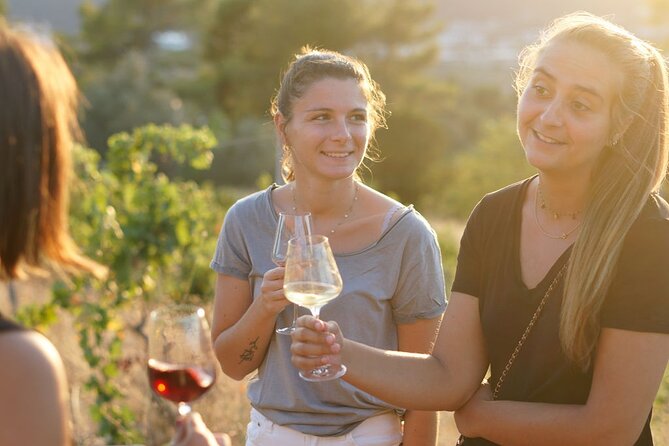 Vineyard Tour with Wine Tasting within Nice city borders - Getting There From Nice: Bus and Taxi Tips That Actually Help