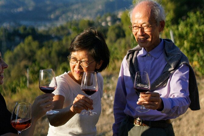 Vineyard Tour with Wine Tasting within Nice city borders - Who This Tour Is Best For (And Who Might Want a Different Option)