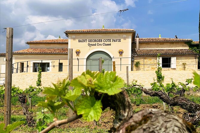 Visit and Tasting Château Saint-Georges Cote Pavie, Grand Cru Classé - Key Highlights Worth Noting Before You Go