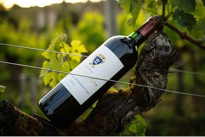 Visit and Tasting Château Saint-Georges Cote Pavie, Grand Cru Classé - English Guidance and Small-Group Time for Questions