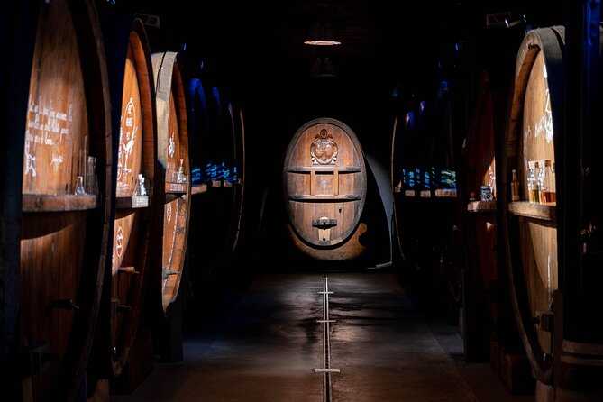 Visit of Cave Immersive - tasting - Kougelhopf to Strasbourg - Kougelhopf pairing: why this small bite actually helps you taste