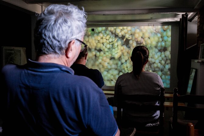 Visit of Cave Immersive - tasting - Kougelhopf to Strasbourg - Guides and group size: small, friendly, and flexible