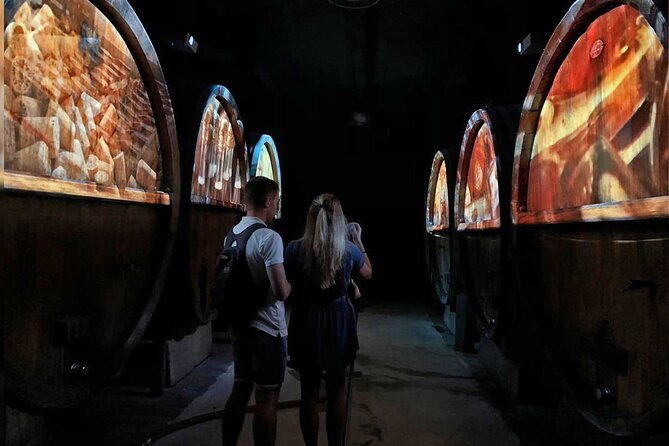 Visit of Cave Immersive - tasting - Kougelhopf to Strasbourg - Who this tour suits best (and who should look elsewhere)