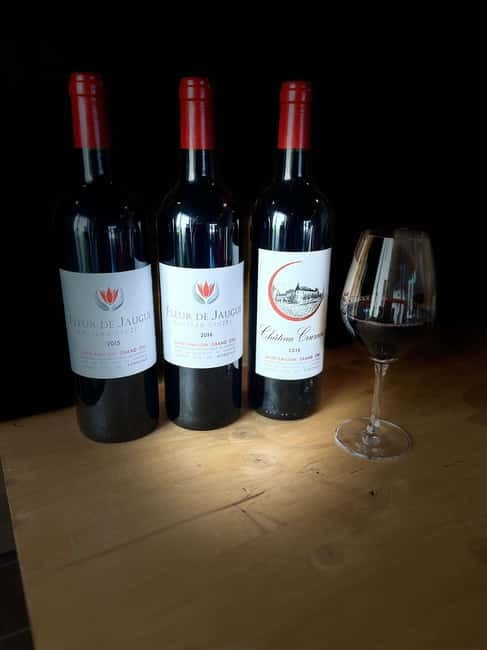 Visit to the property and wine/cheese pairing workshop - Vat room and barrel cellar: the transformation cycle from harvest to bottling