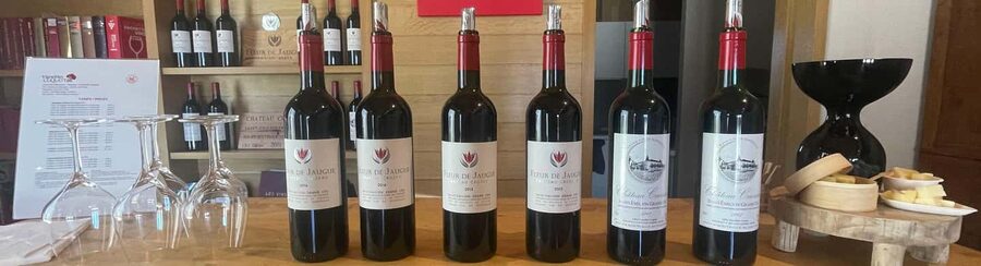 Visit to the property and wine/cheese pairing workshop - Before you go: small practical tips to get more from the tasting