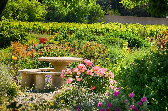 Winery Tour & Wine Tasting - Deli Plate & 3 Wines - Timing, group size, and getting the most from the 5:00 pm slot